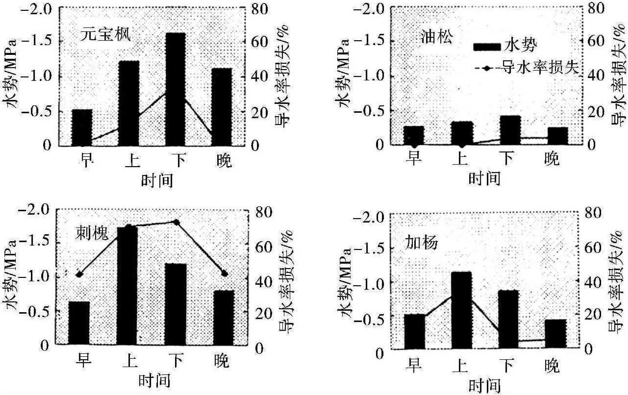 二、水分生理特點(diǎn)